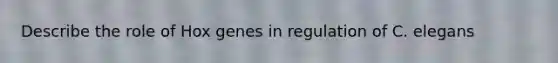 Describe the role of Hox genes in regulation of C. elegans