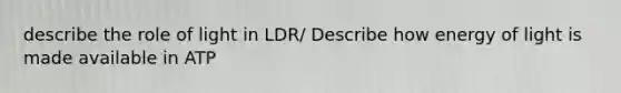 describe the role of light in LDR/ Describe how energy of light is made available in ATP