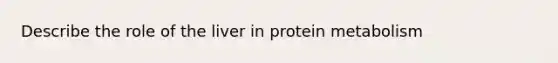 Describe the role of the liver in protein metabolism