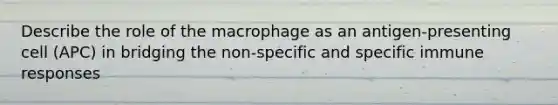 Describe the role of the macrophage as an antigen-presenting cell (APC) in bridging the non-specific and specific immune responses