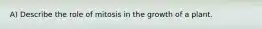 A) Describe the role of mitosis in the growth of a plant.