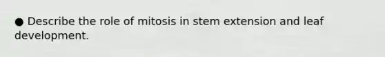 ● Describe the role of mitosis in stem extension and leaf development.