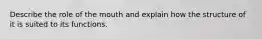 Describe the role of the mouth and explain how the structure of it is suited to its functions.