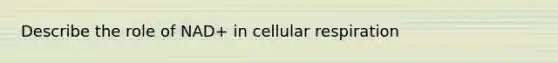 Describe the role of NAD+ in cellular respiration