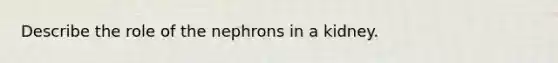 Describe the role of the nephrons in a kidney.