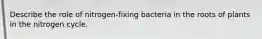 Describe the role of nitrogen-fixing bacteria in the roots of plants in the nitrogen cycle.