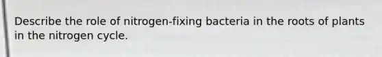 Describe the role of nitrogen-fixing bacteria in the roots of plants in the nitrogen cycle.