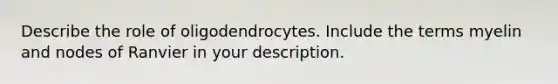 Describe the role of oligodendrocytes. Include the terms myelin and nodes of Ranvier in your description.