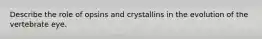 Describe the role of opsins and crystallins in the evolution of the vertebrate eye.