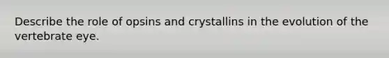 Describe the role of opsins and crystallins in the evolution of the vertebrate eye.