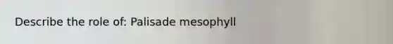 Describe the role of: Palisade mesophyll