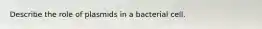 Describe the role of plasmids in a bacterial cell.