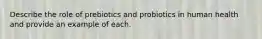 Describe the role of prebiotics and probiotics in human health and provide an example of each.