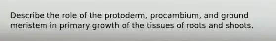 Describe the role of the protoderm, procambium, and ground meristem in primary growth of the tissues of roots and shoots.