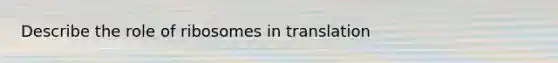 Describe the role of ribosomes in translation