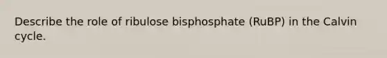 Describe the role of ribulose bisphosphate (RuBP) in the Calvin cycle.