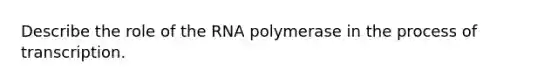 Describe the role of the RNA polymerase in the process of transcription.