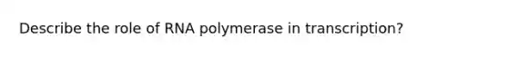 Describe the role of RNA polymerase in transcription?