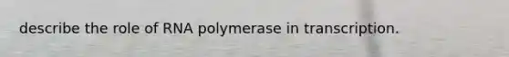 describe the role of RNA polymerase in transcription.