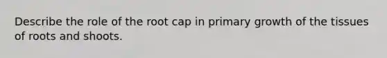 Describe the role of the root cap in primary growth of the tissues of roots and shoots.