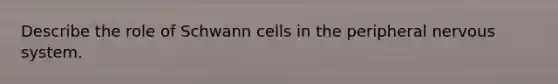 Describe the role of Schwann cells in the peripheral <a href='https://www.questionai.com/knowledge/kThdVqrsqy-nervous-system' class='anchor-knowledge'>nervous system</a>.