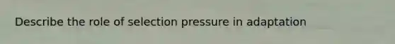 Describe the role of selection pressure in adaptation