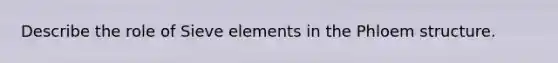 Describe the role of Sieve elements in the Phloem structure.