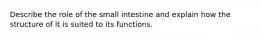 Describe the role of the small intestine and explain how the structure of it is suited to its functions.