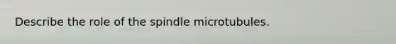 Describe the role of the spindle microtubules.