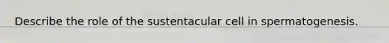 Describe the role of the sustentacular cell in spermatogenesis.