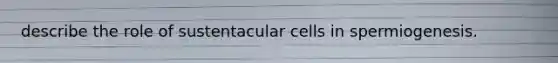 describe the role of sustentacular cells in spermiogenesis.