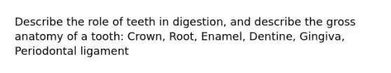 Describe the role of teeth in digestion, and describe the gross anatomy of a tooth: Crown, Root, Enamel, Dentine, Gingiva, Periodontal ligament