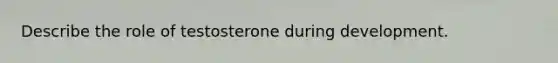 Describe the role of testosterone during development.