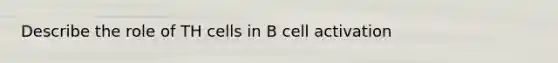 Describe the role of TH cells in B cell activation