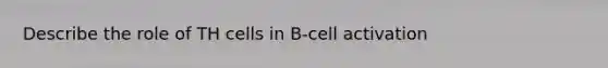 Describe the role of TH cells in B-cell activation