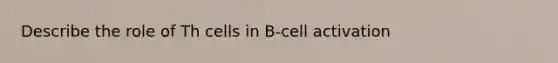 Describe the role of Th cells in B-cell activation