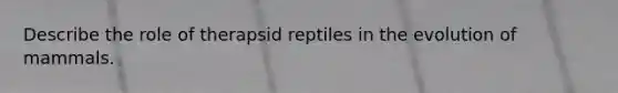 Describe the role of therapsid reptiles in the evolution of mammals.