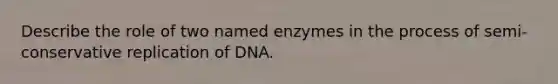 Describe the role of two named enzymes in the process of semi-conservative replication of DNA.