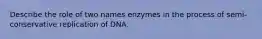 Describe the role of two names enzymes in the process of semi-conservative replication of DNA.