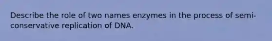 Describe the role of two names enzymes in the process of semi-conservative replication of DNA.