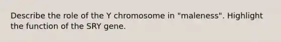 Describe the role of the Y chromosome in "maleness". Highlight the function of the SRY gene.