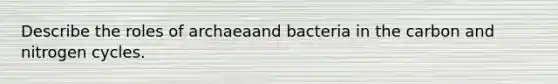 Describe the roles of archaeaand bacteria in the carbon and nitrogen cycles.