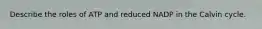 Describe the roles of ATP and reduced NADP in the Calvin cycle.