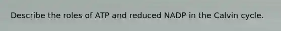 Describe the roles of ATP and reduced NADP in the Calvin cycle.
