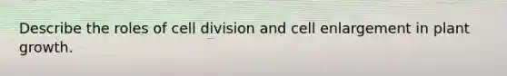 Describe the roles of cell division and cell enlargement in plant growth.