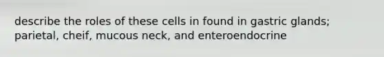 describe the roles of these cells in found in gastric glands; parietal, cheif, mucous neck, and enteroendocrine