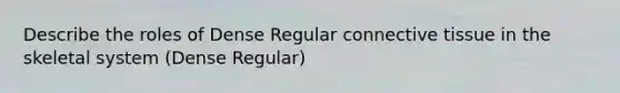 Describe the roles of Dense Regular connective tissue in the skeletal system (Dense Regular)