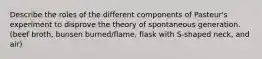 Describe the roles of the different components of Pasteur's experiment to disprove the theory of spontaneous generation. (beef broth, bunsen burned/flame, flask with S-shaped neck, and air)
