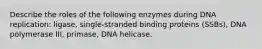 Describe the roles of the following enzymes during DNA replication: ligase, single-stranded binding proteins (SSBs), DNA polymerase III, primase, DNA helicase.