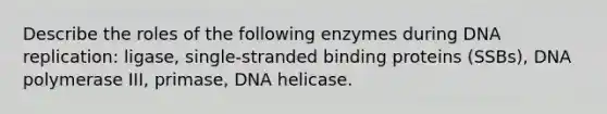 Describe the roles of the following enzymes during DNA replication: ligase, single-stranded binding proteins (SSBs), DNA polymerase III, primase, DNA helicase.